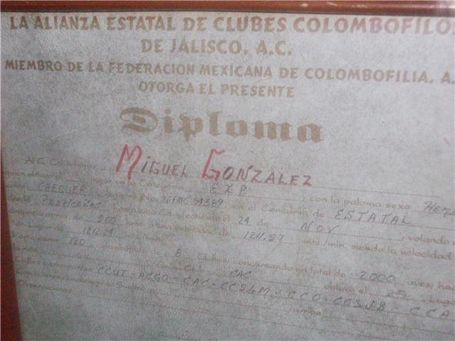 Diploma otorgado por la alianza de clubes Colombófilos de Jalisco A.C.