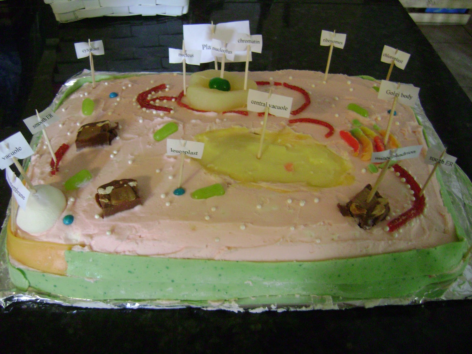 The Sojourner Edible Cell Project