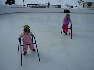 ice skating waters quiet park jetta pilot second