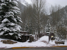 Tellluride City Park