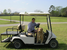 I love new modes of travel