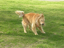 After a roll cleanup