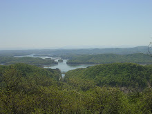 View from Clinch Mountain