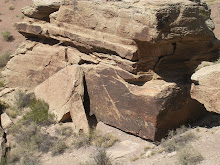 Newspaper Rock, Petrified Forest