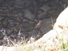 Young lady in Devil's Punchbowl