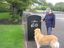 Ecological Garbage Can