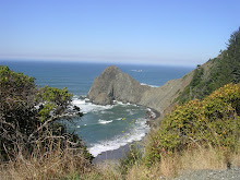 Oregon coast pic from lunch stop