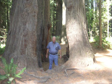 A tree with an "open stance"