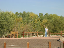 Burrowing Owl habitat