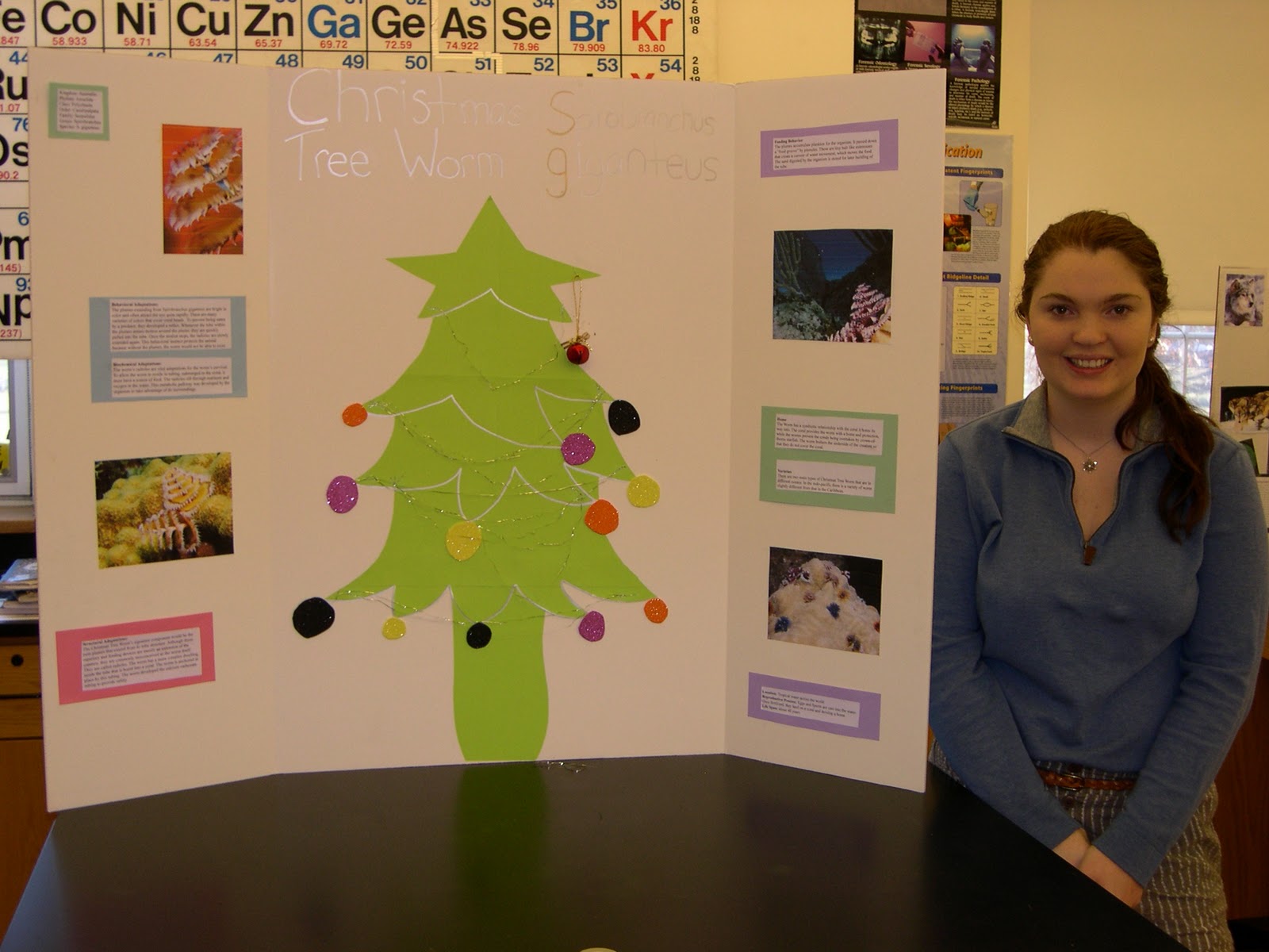 Bronxville Science Department Evolution Projects Adaptations Bronxville Science Department Evolution Projects Adaptations