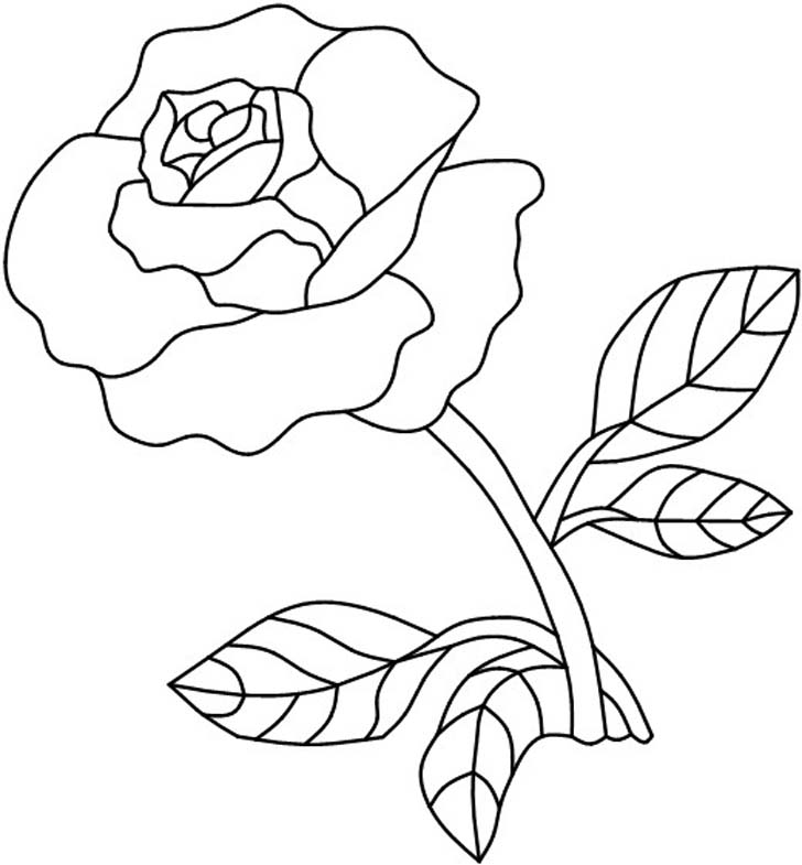 painting the roses red coloring pages - photo #34