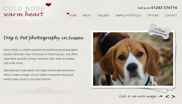 Dog & Pet Photography