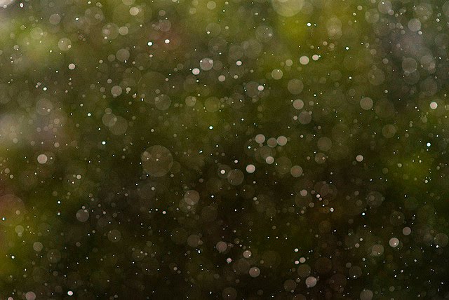 summer rain by Ansel Olson