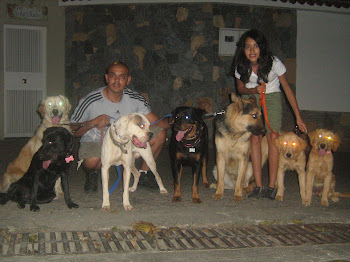 SOCIABILIZACION