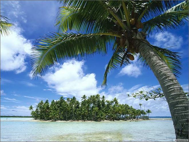 Moorea