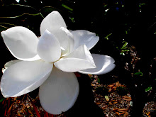 white flower