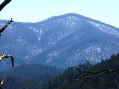 East Cowpen Mt From Horseshoebend Trail Overlook
