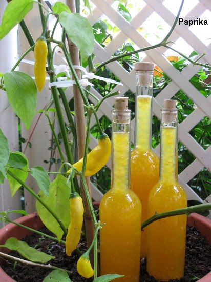 Paprikas Küchenblog: Süß-scharfe Chili-Sauce
