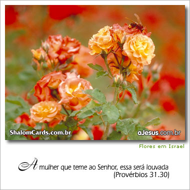[en_flores03.jpg]
