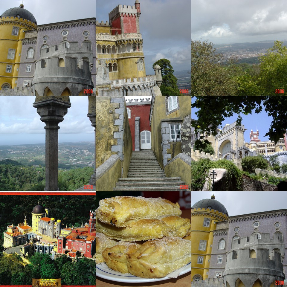 [collage84.jpg]