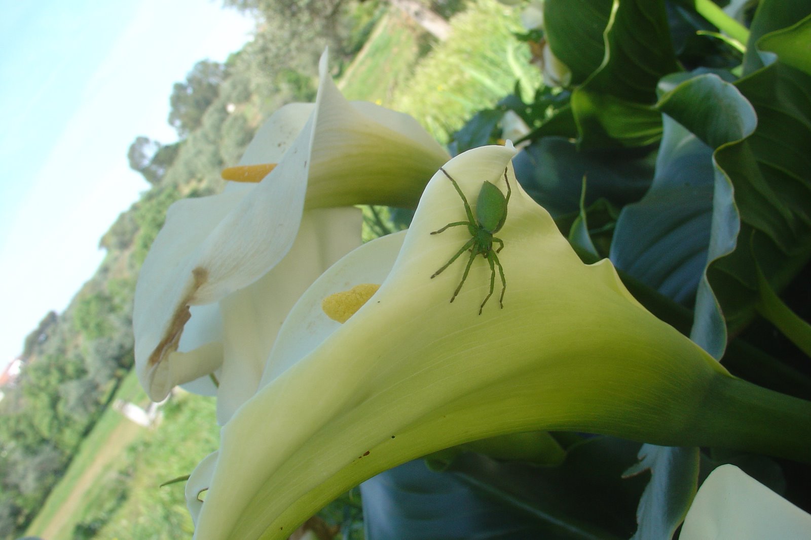 [Abril+2009+041.jpg]