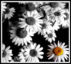 [real+diferença.jpg]