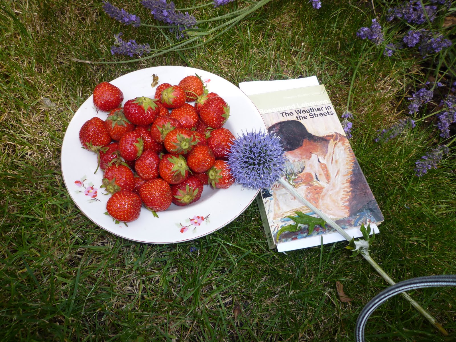 Bloomsbury Bell The Weather in the Streets Book Review