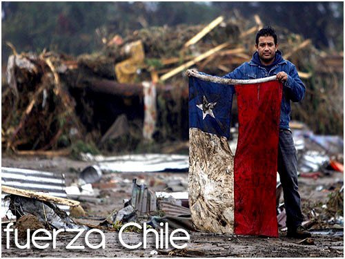 [Fuerza_Chile.jpg]