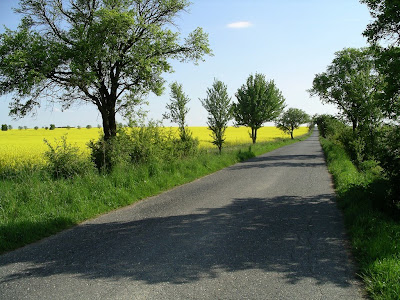 Nuestro Bello Planeta: PAISAJES VERDES