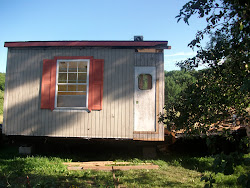 coop chickens chronicles willow road seem mostly finished chicken still happy