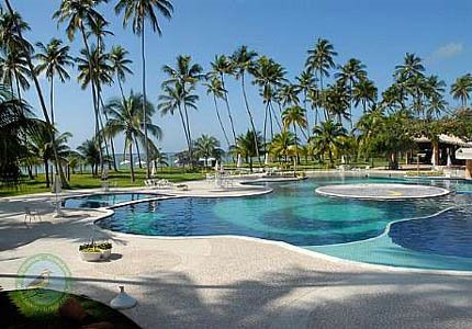 [patachocasmorro.jpg]