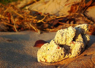 pedras na praia