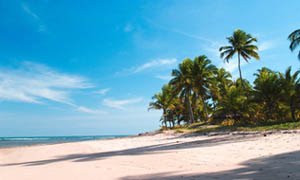 [taipus-de-fora.jpg]