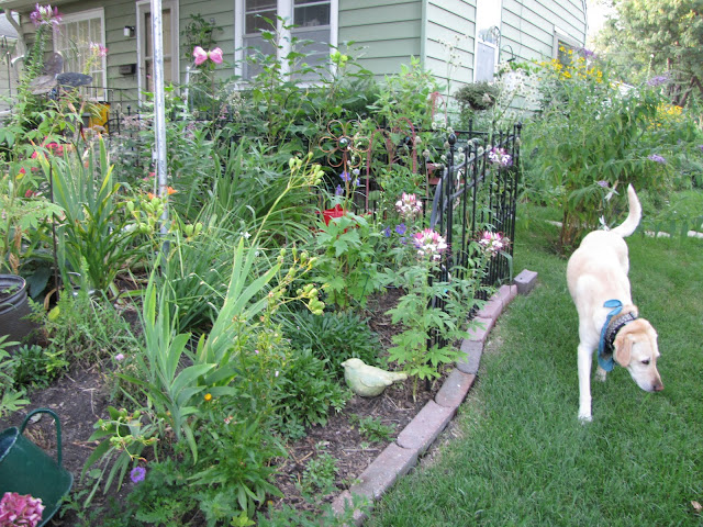 A Corner Garden: Front Yard Bed