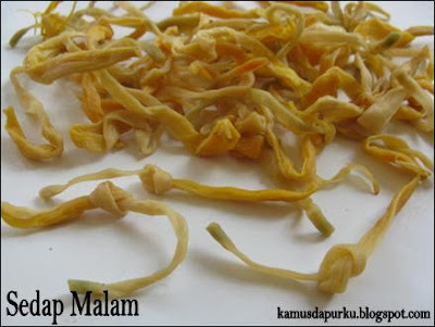 KAMUS DAPURKU: Sedap Malam