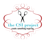 The CSI Project