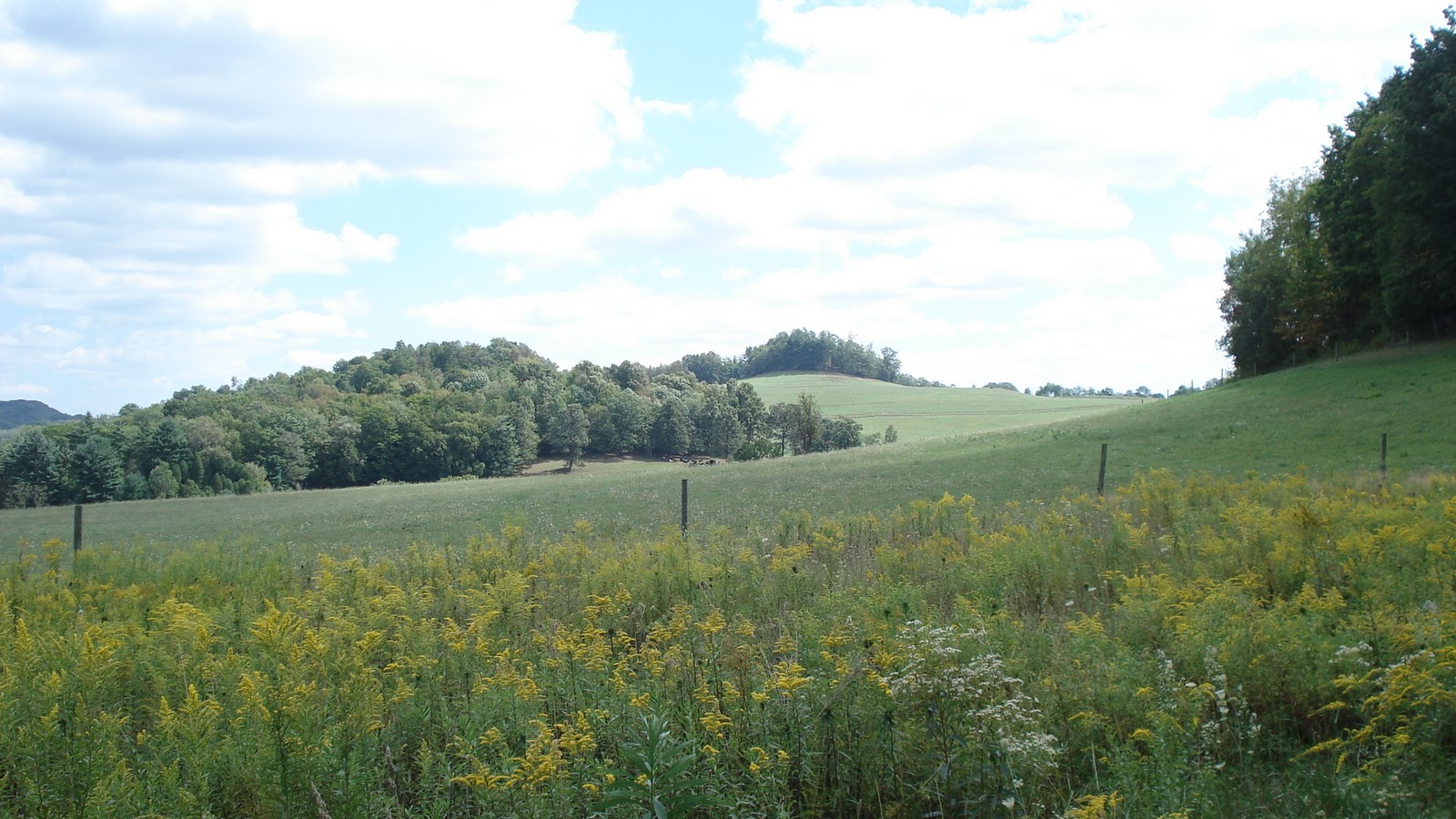 Kickstands and Handstands 555 The rolling hills of pennsylvania