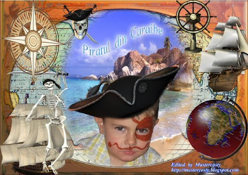 Piratul  din  Caraibe