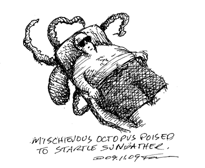 [02.11.09.mischievous.octopu.gif]