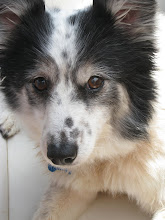 Freckles - because of her ... I'm a foster