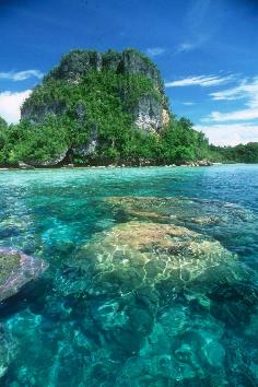 Karang di Kepulauan Pef di Kabupaten Raja Ampat, Sorong - Papua Barat