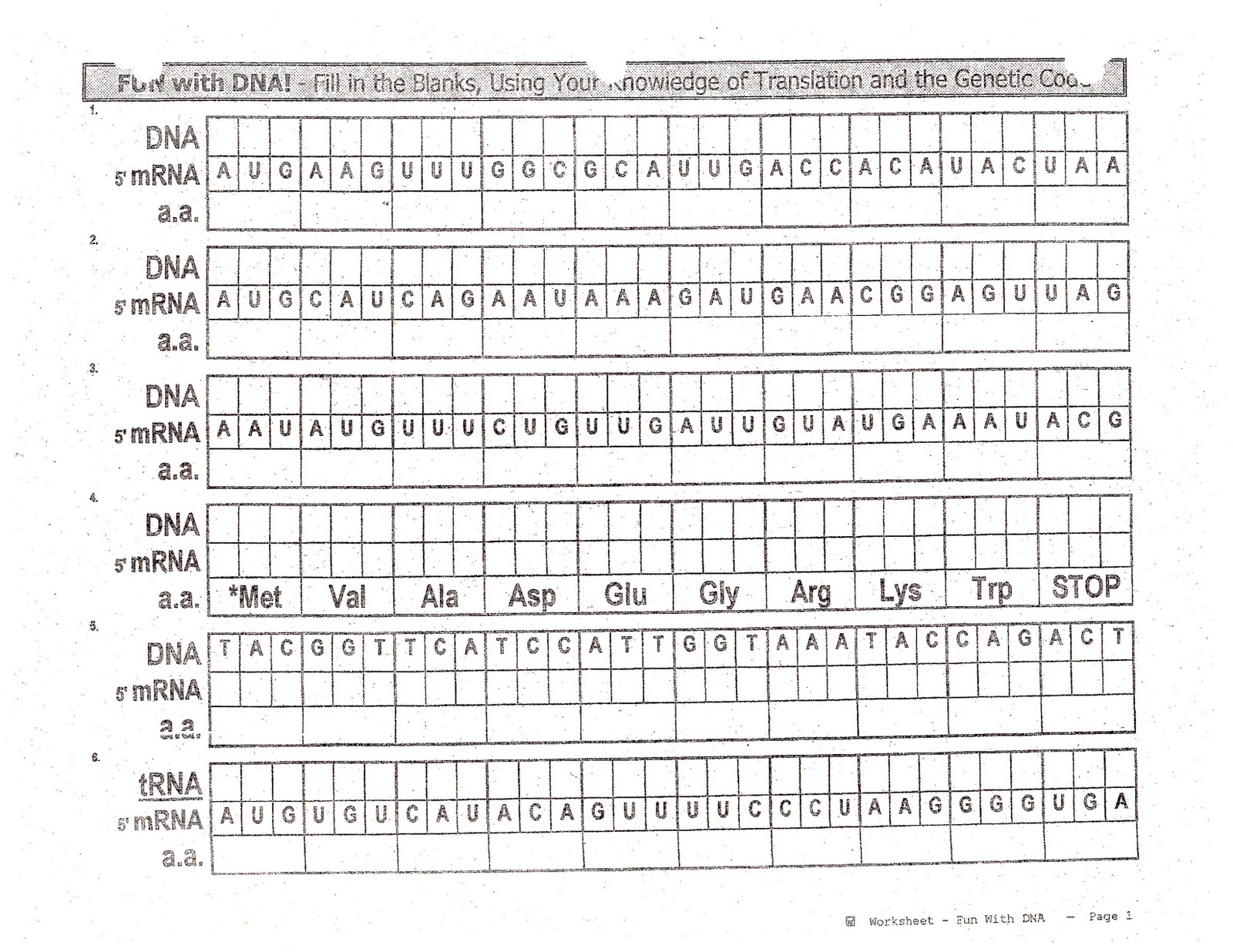 The BioBlog BIOSHEETS 3132 DNA Assignment and Project Sheet