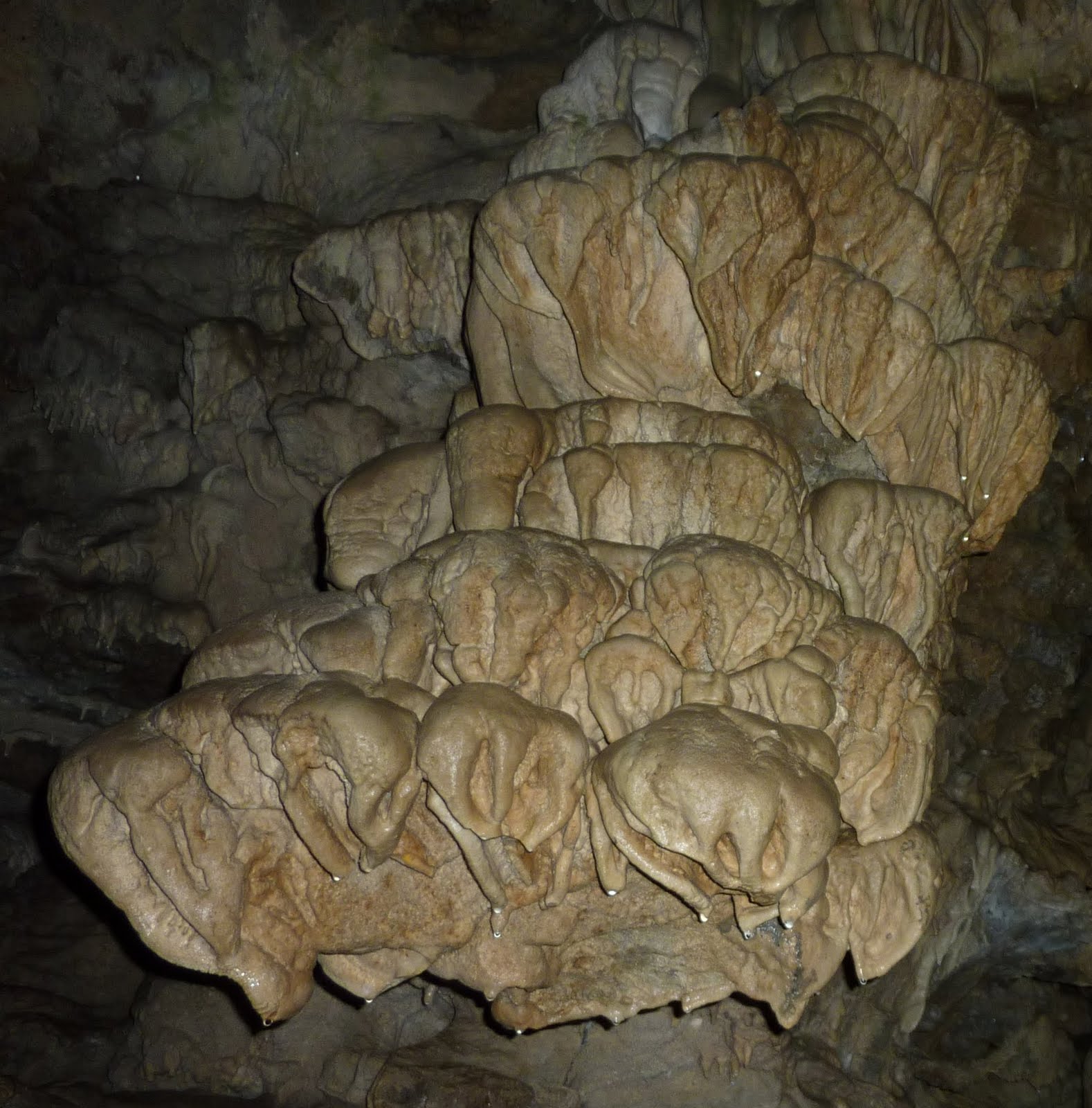 jendocino Cave Junction What's Your Function?