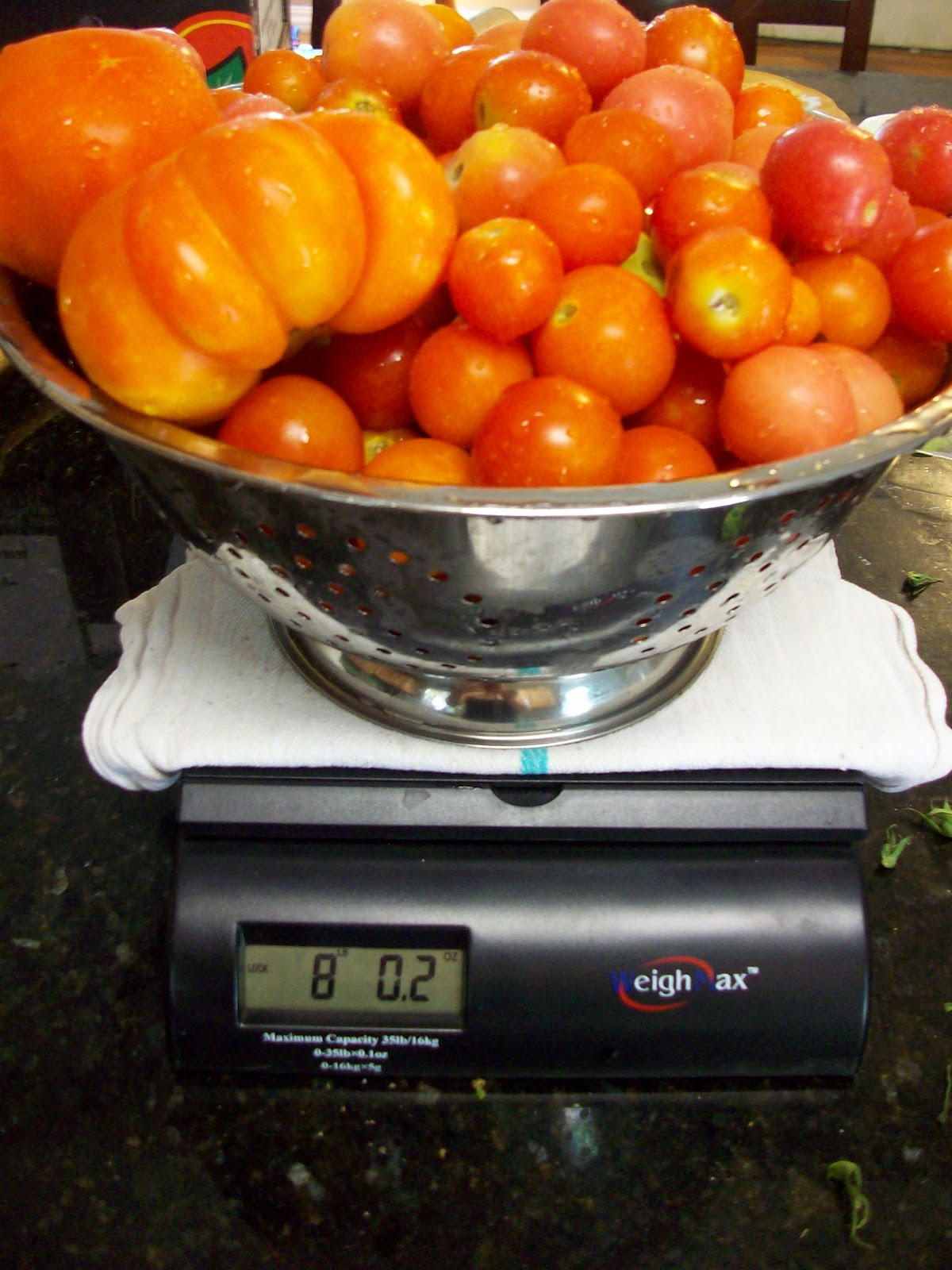 Homestead Roots Canning Crushed tomatoes recipe step by step with pics