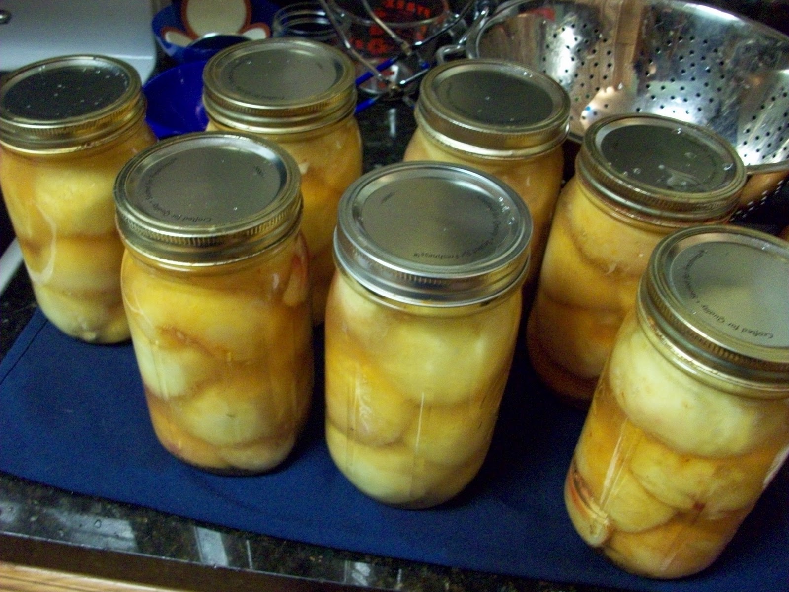 Homestead Roots Canning Peaches Step by Step Raw Pack