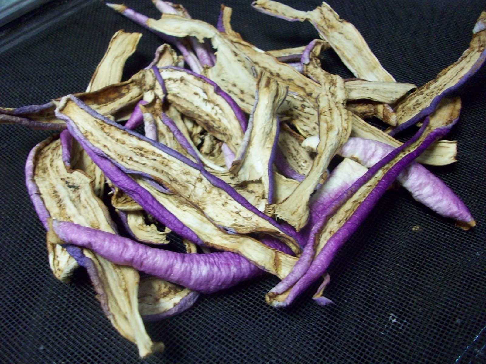 Homestead Roots Dehydrating Eggplant