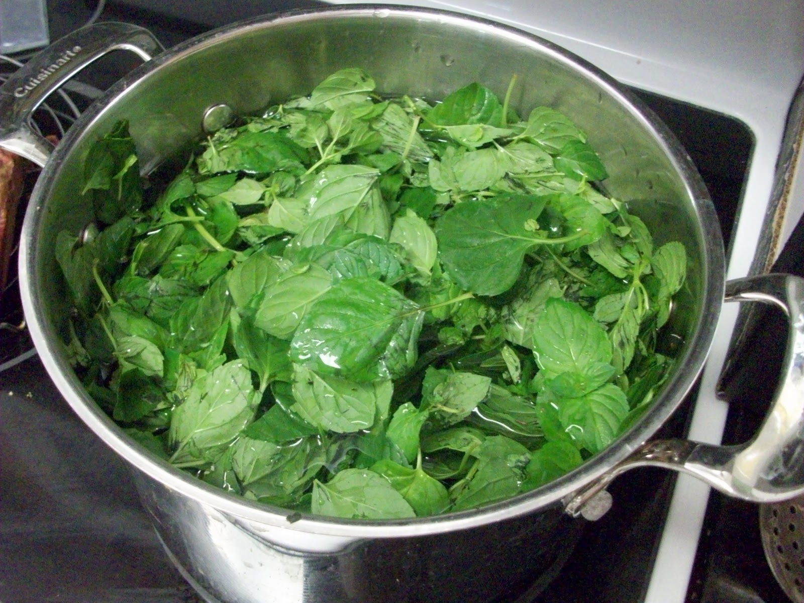 Homestead Roots Canning Herb Syrup Mint, Spearmint, Chocolate Mint