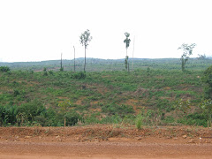 Destruction and desolation as far as the eye can see