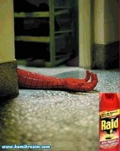 Raid y chau Spiderman...