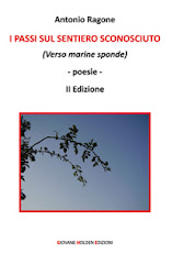 I passi sul sentiero sconosciuto (Verso marine sponde) II Edizione - Poesia